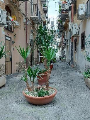 La Rosa Dei Venti " Ponente" Apartment Palermo Luaran gambar